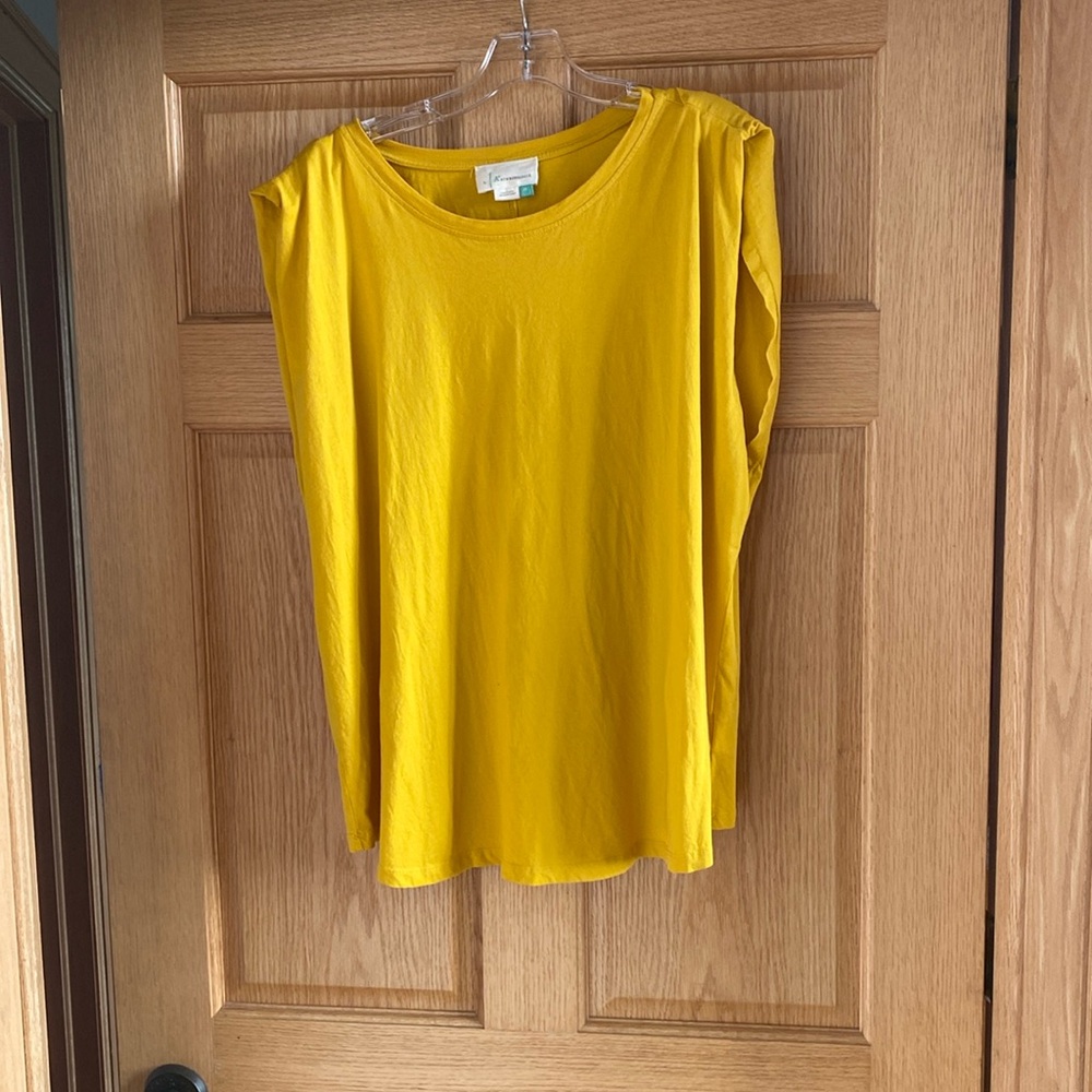 Plus size Anthropologie tee